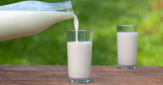 Milk and Blood Sugar: The Best and Worst Options for People with Type 2 Diabetes
