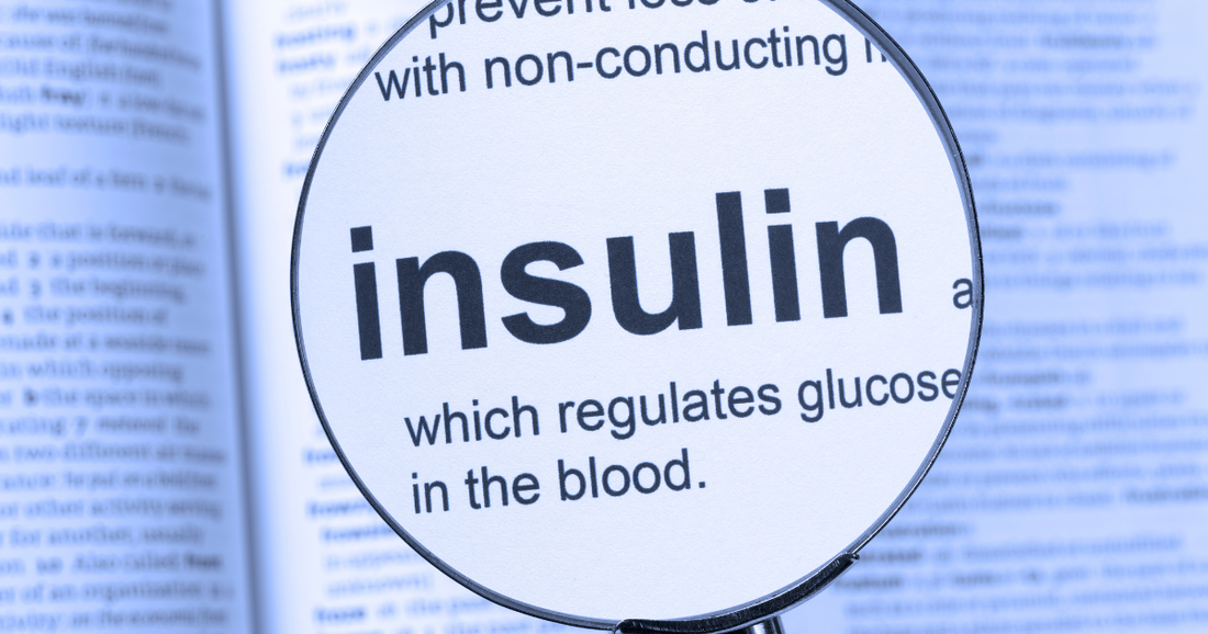 Insulin 101: How It Controls Blood Sugar